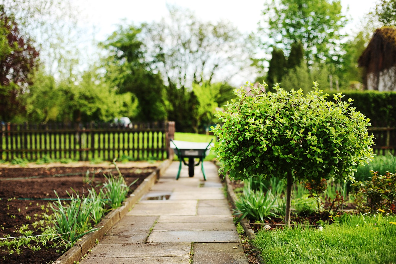 Gartentipps für Kleingarten