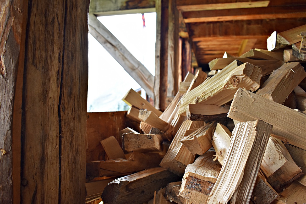 Holzspalter mit Benzin